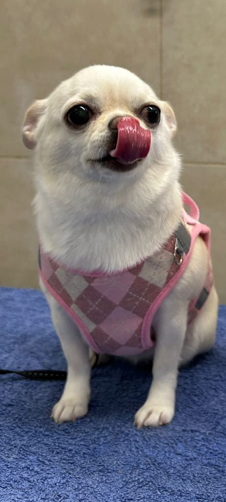 inbound425843258778747639